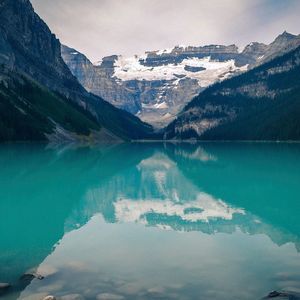 Meet your Posher, Feras